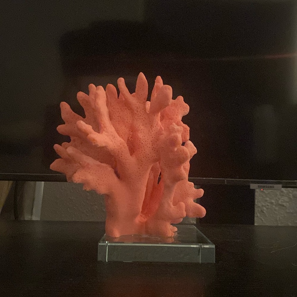 Coral decor for shelves or accent in any room